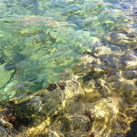 A Due Passi Dal Mare Petrosino