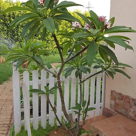 Casa vacanze A Due Passi Dal Mare Petrosino
